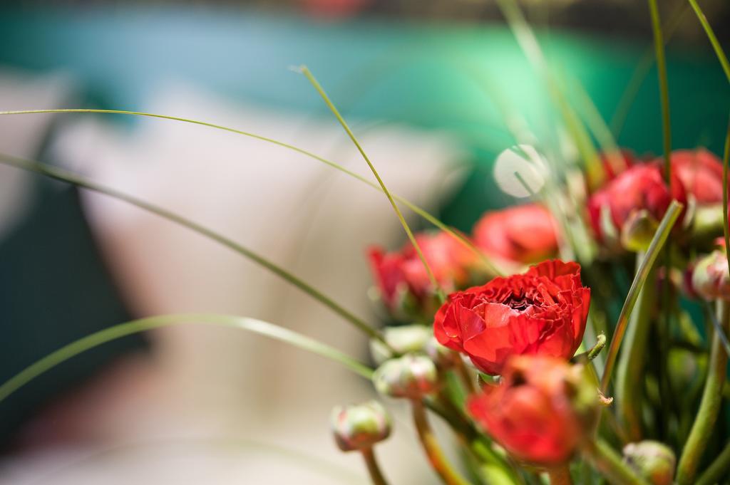 Jardins De Montmartre 3*